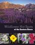 Wildflower Hot Spots. of the Eastern Sierra