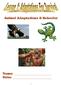 Animal Adaptations & Behavior