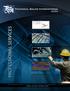 DATASHEET: TSI PROFESSIONAL SERVICES