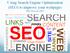 Using Search Engine Optimization (SEO) to improve your webpages. Web Services 2015