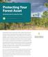 Protecting Your Forest Asset