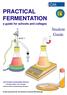 PRACTICAL FERMENTATION
