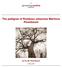 The pedigree of Rombout Johannes Martinus Perenboom