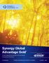 Synergy Global Advantage Gold. Fixed Indexed Universal Life Insurance Consumer Brochure. Distributed by: