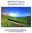 If you have questions regarding personal automobile insurance, please contact our Consumer Services Division at 1-888-TRY-WVIC, or visit our website