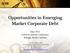Opportunities in Emerging Market Corporate Debt