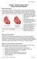 CorCap Cardiac Support Device Patient Information Booklet