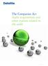 The Companies Act Audit requirement and other matters related to the audit