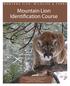 Mountain Lion Identification Course