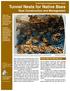INVERTEBRATE CONSERVATION FACT SHEET Tunnel Nests for Native Bees Nest Construction and Management
