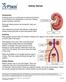 Kidney Stones. This reference summary will help you understand kidney stones and how to treat and prevent them. Kidney