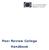 Peer Review College Handbook
