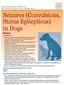 Seizures (Convulsions, Status Epilepticus) in Dogs