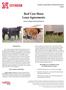 Beef Cow Share Lease Agreements