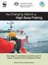 Changing Nature of High Seas Fishing