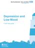 Depression and Low Mood. A self help guide