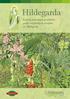 Hildegarda. Hildegarda. Katalóg prírodných produktov podľa originálnych receptúr sv. Hildegardy. s. r. o.