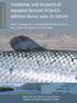 Incidence and impacts of escaped farmed Atlantic salmon Salmo salar in nature