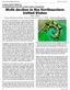 Moth decline in the Northeastern United States David L. Wagner Ecology and Evolutionary Biology, University of Connecticut, Storrs, CT 06268
