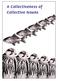 A Collectiveness of Collective Nouns