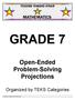 Open-Ended Problem-Solving Projections