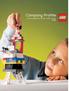 Company Profile An introduction to the LEGO Group 2009