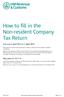 How to fill in the Non-resident Company Tax Return