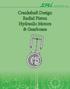 Crankshaft Design Radial Piston Hydraulic Motors & Gearboxes