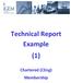 Technical Report Example (1) Chartered (CEng) Membership