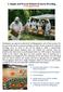 A Simple and Proven Method of Queen Breeding www.apiservices.info