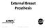 External Breast Prosthesis. 2012 Copyright, CGS Administrators, LLC.