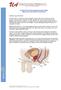 da Vinci Prostatectomy Information Guide (Robotically-Assisted Radical Prostatectomy)