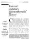 Tutorial: Capillary Electrophoresis *
