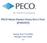 PECO SMART ENERGY USAGE DATA TOOL (PSEUDT)