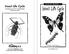 Insect Life Cycle. www.readinga-z.com. Visit www.readinga-z.com for thousands of books and materials.