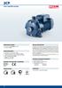 2CP. Twin-impeller pumps PERFORMANCE RANGE INSTALLATION AND USE APPLICATION LIMITS OPTIONALS AVAILABLE ON REQUEST CONSTRUCTION AND SAFETY STANDARDS