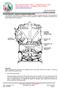 2367 LAKESIDE DRIVE, SUITE A-1 BIRMINGHAM, AL 35244 PHONE (205) 453-0236 FACSIMILE (205) 453-0239 www.innovativecombustion.com