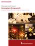 Management Report Atmosphere brings profit. A study of Christmas Decorations in German Shopping Centres