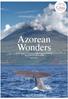 LAUNCH OFFER SAVE 200 PER PERSON. Azorean Wonders