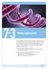 7. 3. replication. Unit 7: Molecular biology and genetics
