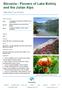 Slovenia - Flowers of Lake Bohinj and the Julian Alps