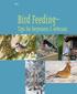 G3176. Bird Feeding. Tips for beginners & veterans