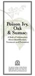 Poison Ivy, Oak & Sumac: A Rash of Information About Identification, Treatment and Prevention