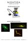 Stereo Microscope Fluorescence Adapter. Applications in Biology Laboratory Education