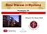Bone Disease in Myeloma