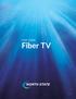 User Guide. Fiber TV V3-0216