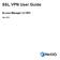SSL VPN User Guide. Access Manager 3.2 SP2. June 2013