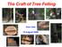 The Craft of Tree Felling
