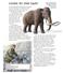 Mammoths helped prove that different animals existed in the very ancient past. CLUES TO THE PAST