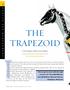 THE TRAPEZOID. A tool to help you evaluate a horse s balance.